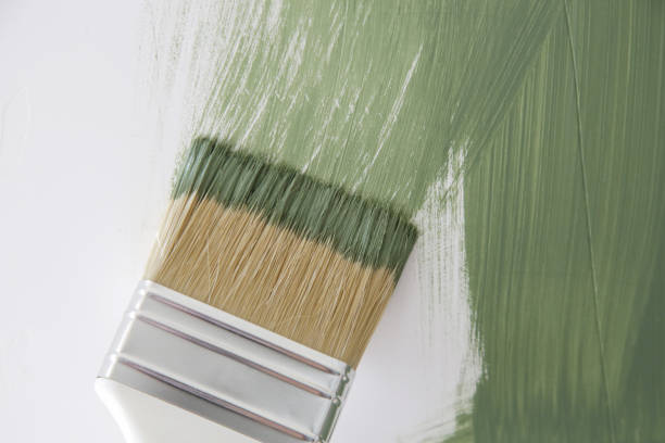 Best Attic Mold Removal  in Nth Plains, OR
