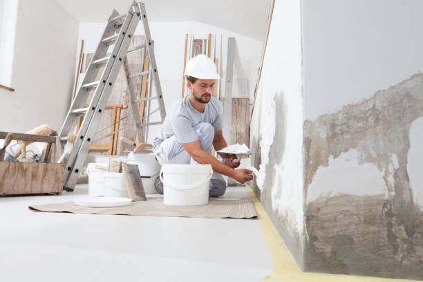 Professional Mold Removal in North Plains, OR