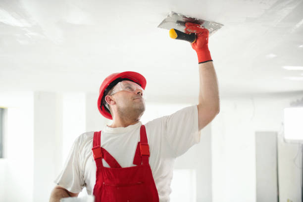 Best Commercial Mold Inspection  in Nth Plains, OR