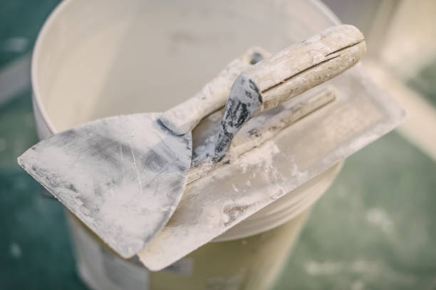 Best Attic Mold Removal  in Nth Plains, OR